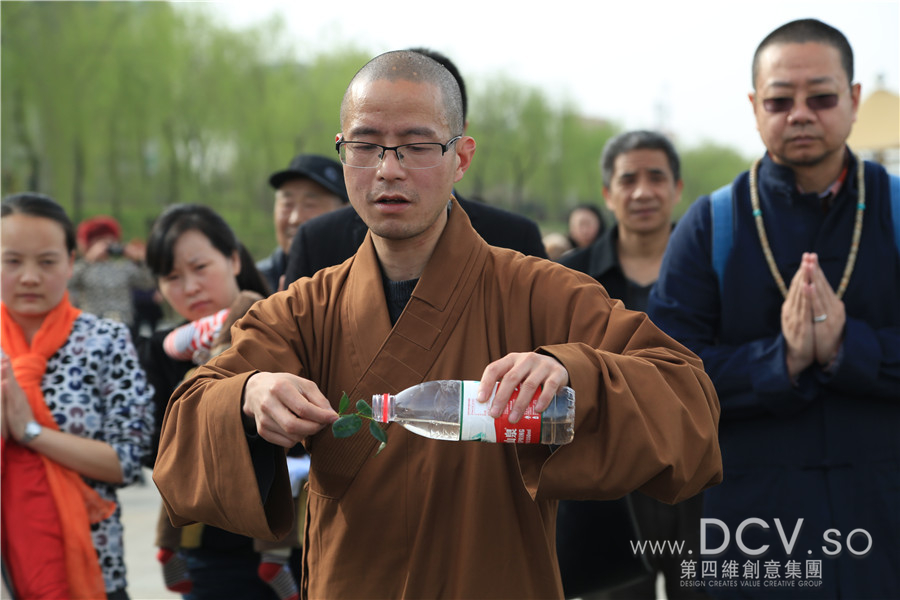 让生命回归自然，DCV第四维设计团队灞桥湿地公园放生活动