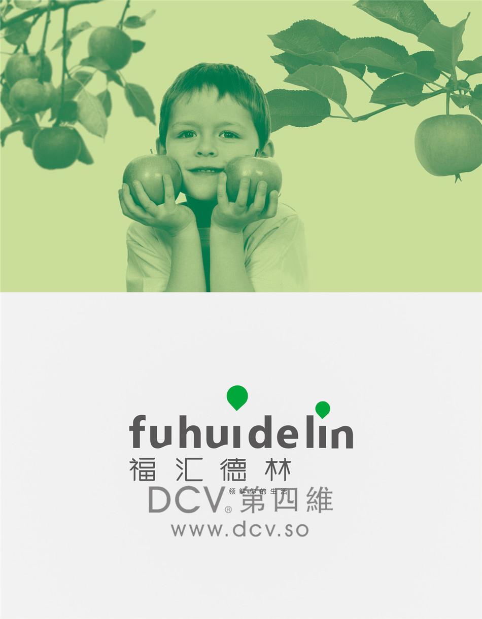 西安-泾阳福汇德林商场超市购物中心LOGO及平面VI设计 西安-泾阳福汇德林商场超市购物中心LOGO及平面VI设计