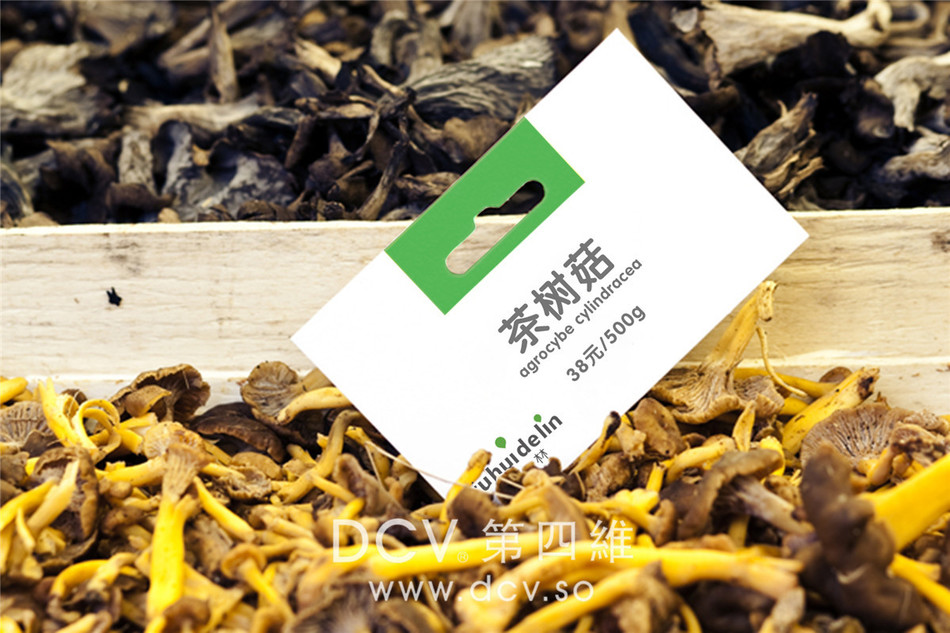 西安-泾阳福汇德林商场超市购物中心LOGO及平面VI设计