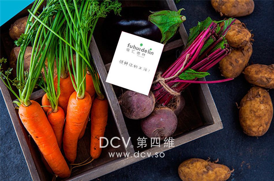 西安-泾阳福汇德林商场超市购物中心LOGO及平面VI设计